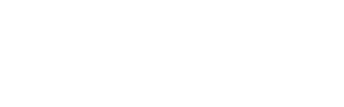 Pro Boxing Records